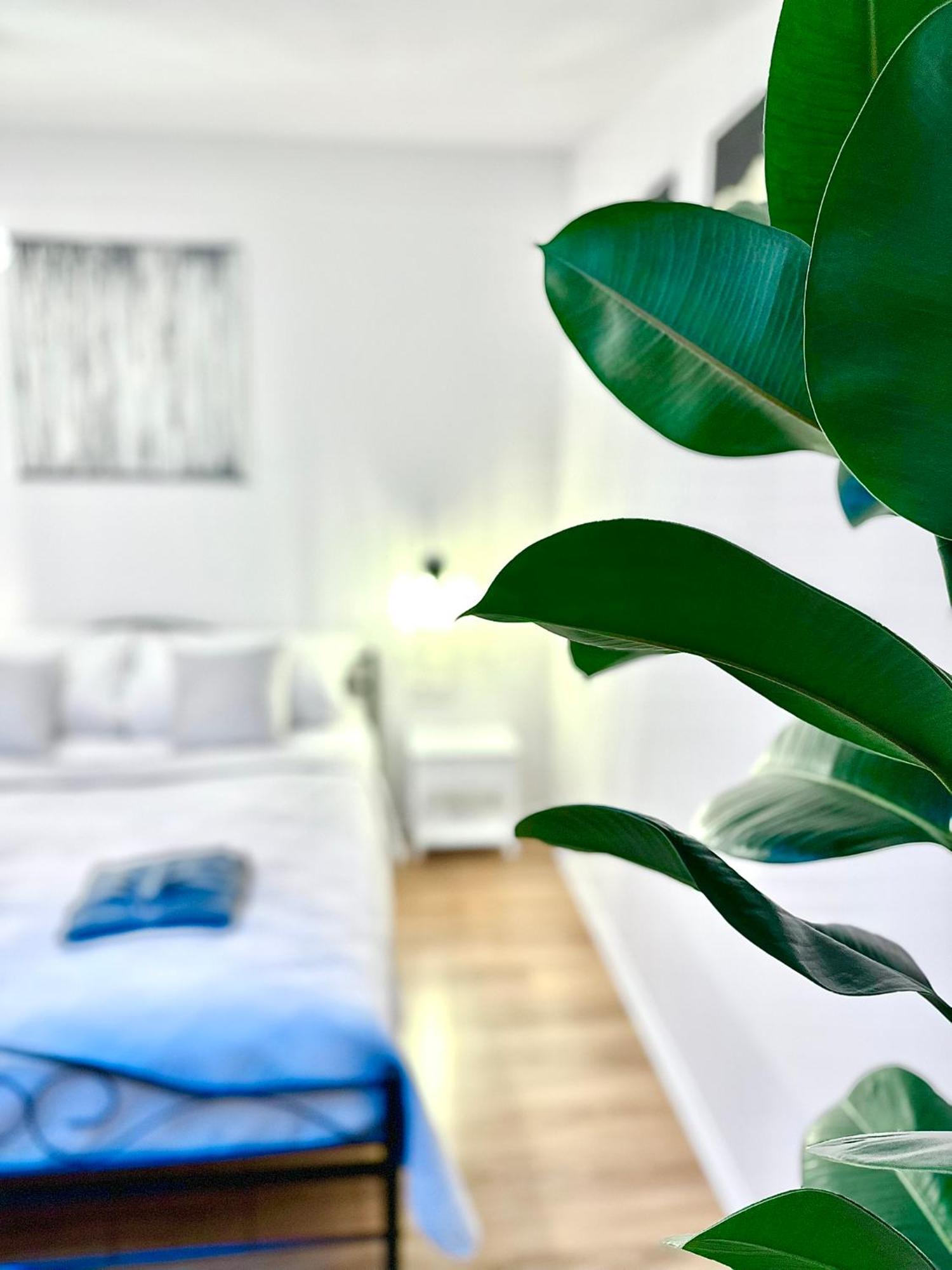 Cozy Old-town At Kazimierz +ac, Kitchen And Netflix